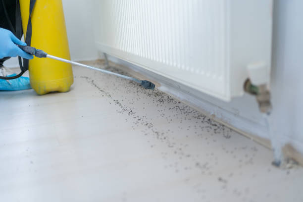 Best Pest Control for Multi-Family Homes  in Amery, WI